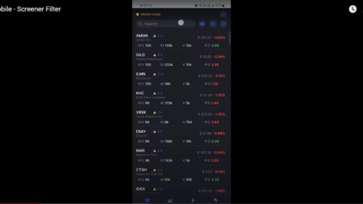 Detailed guide to using the stock trading app, focusing on key features and filters for efficient trading.